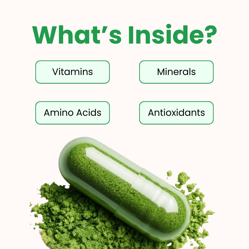 Mistiva™ Moringa Hair Growth Capsules